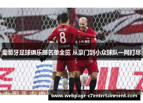 葡萄牙足球俱乐部名单全览 从豪门到小众球队一网打尽 葡萄牙足球俱乐部名单全览 从豪门到小众球队一网打尽
