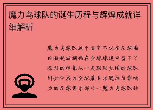魔力鸟球队的诞生历程与辉煌成就详细解析